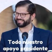 #falsachilenaydelawena 🇨🇱 (@rossychinan) 's Twitter Profile Photo