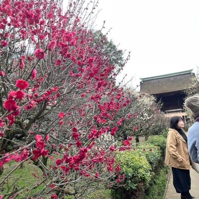 yokofbtp's profile picture. 音楽（ベースとベーシスト）・ミシン・手芸・インコ・ガーデニングが好きです。大阪府→神戸市 時々淡路島→大阪府