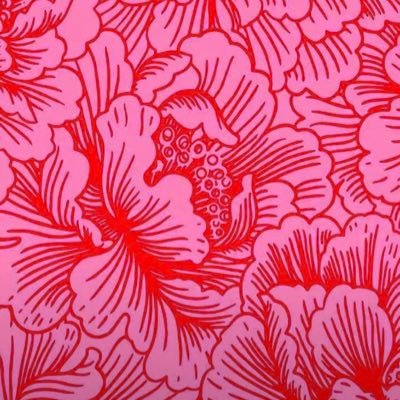 _mecagalavida's profile picture. 