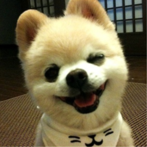 Eugeny85's profile picture. 