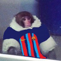 RicharJasso (@richarjasso) 's Twitter Profile