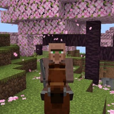 I love minecraft villager. lm not English Native,so maybe my English isnt good. But I would be happy to comminicate with people who love Minecraft!