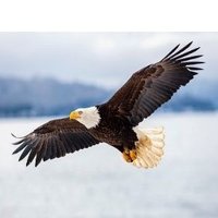 J (@jkm2014) 's Twitter Profile
