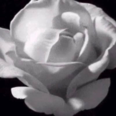 c_miorem's profile picture. El estado español está representado por la inmunidad legal de su jefatura y una administración de justicia que no se somete a los cambios legislativos