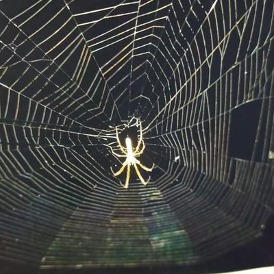 Uncleloveseeker's profile picture. Need to express my self...🥺