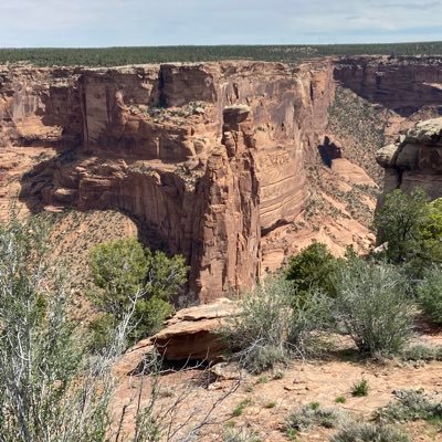 SF native relocated to Tucson AZ. Moved here for love, not retirement. Been over 20 years, I think it’s going to stick. SF Giants. Springsteen fan since 1978.