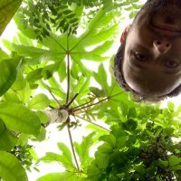 Alex Prendergast (@bramblebotanist) Twitter profile photo