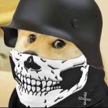 Fkpuz_'s profile picture. 5 x boosted 😷💉, Xe/Xim, Vice/BBC, BLM ✊🏿, Democrat, Vegan, Just Stop Oil, Climate change ⚠️! Biden 2024 🇺🇦 🌈