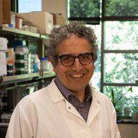 Roy Ben-Shalom (@roybensh) 's Twitter Profile Photo Roy Ben-Shalom (@roybensh) 's Twitter Profile Photo