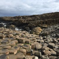 James (@myactualbrain) 's Twitter Profile