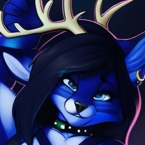 SRogue6's profile picture. Fun, furry, energetic, caring, and just looking to make friends I'm 22 switch single. I'm a twitch streamer, tiktoker, and music producer