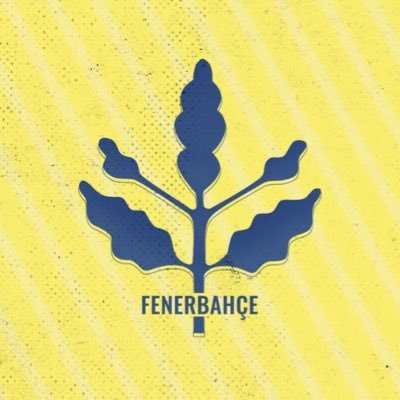 fazlakosamam's profile picture. 