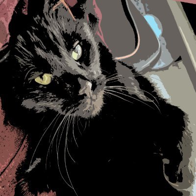 CriticalCat5's profile picture. Likes: petting, ass to face, catnip, boxes
No like: doggy :(