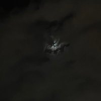 W (@alllllwe) 's Twitter Profile
