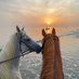 مرّيـم||🐎🤎 (@j0lili) Twitter profile photo مرّيـم||🐎🤎 (@j0lili) Twitter profile photo