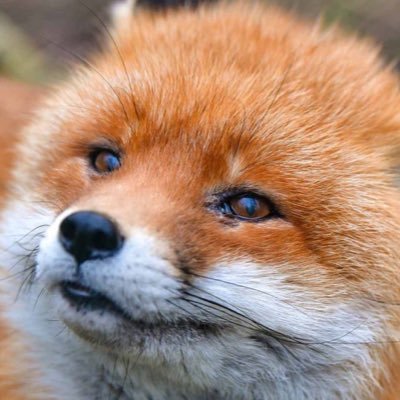 CarlosE57963607's profile picture. 