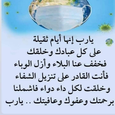 NaimaElmef65410's profile picture. 