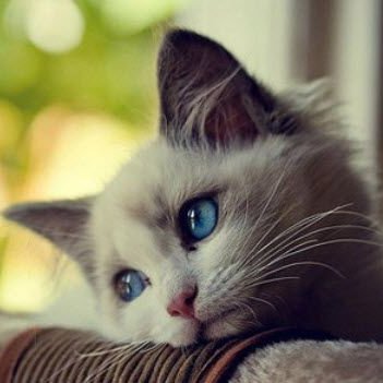 xinh12130's profile picture. 