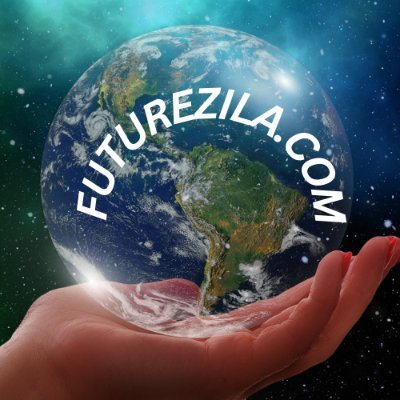 FUTUREZILA PORTFOLIO Profile