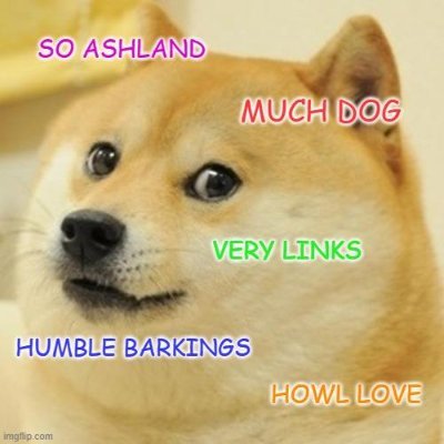 ashlanddog Profile Picture