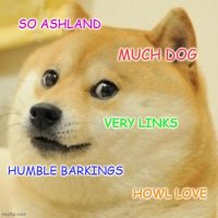 ashlanddog(@ashlanddog) 's Twitter Profile Photo