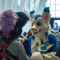 Foxppi (@foxppi04) 's Twitter Profile