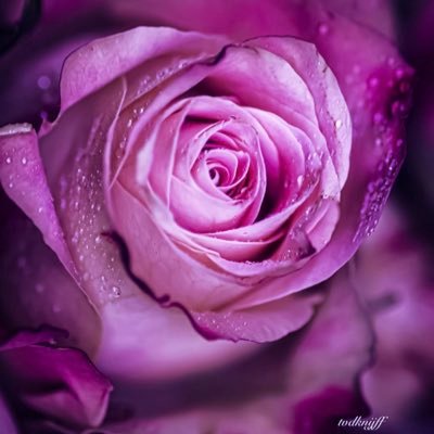 Nn99118800's profile picture. التفكير  بحذر