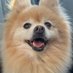 Anne Tong, MBBS (@annesthesia__) Twitter profile photo Anne Tong, MBBS (@annesthesia__) Twitter profile photo
