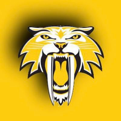 Official booster page of Souhegan Sabers Boys Lacrosse.