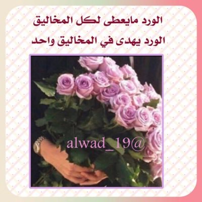 alwad_19