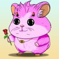 Ukhteaverse's profile picture. 