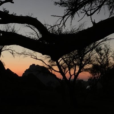 ALSAIFKHALID's profile picture. 