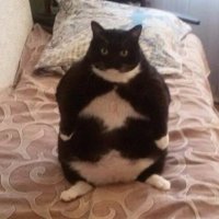 PerryPerryPerry (@wazowskibike22) 's Twitter Profile