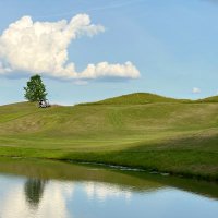 Mrs AP (@realmrsap) 's Twitter Profile