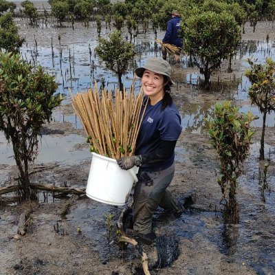 PhD candidate @NCCC_Aus @unimelb | Coastal ecology | Eco-engineered mangroves | Nature-based coastal defences