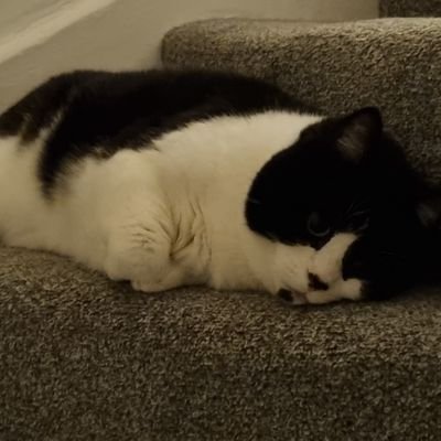 Charlene5010's profile picture. 