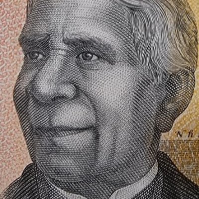 Jubilee Oval Profile