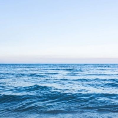 polo_nona's profile picture. 