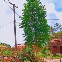 Kelly Santos (@joselecosta4) 's Twitter Profile