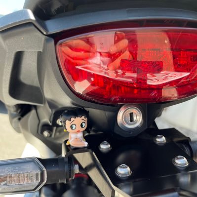 長年の夢だったバイクに乗る事！遂に現実の物に！これから大分の先輩ライダーさん達とTwitterで繋がっていきたいです！色々教えてください！宜しくお願いします 、フォロー宜しくお願いします！