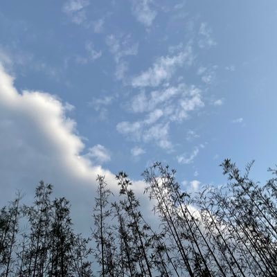 Metacafe199's profile picture. 