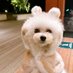 Coudy(コーディ) (@coudy_game) Twitter profile photo Coudy(コーディ) (@coudy_game) Twitter profile photo