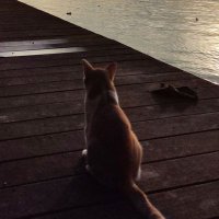 Mnor (@mahdi2815) 's Twitter Profile