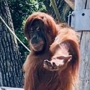 ChenCno49172's profile picture. 