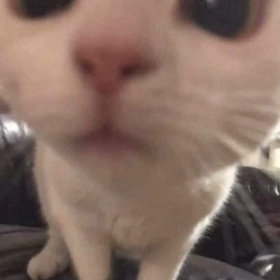 taiadadearu's profile picture. 蝉が好きです 。触れないけど