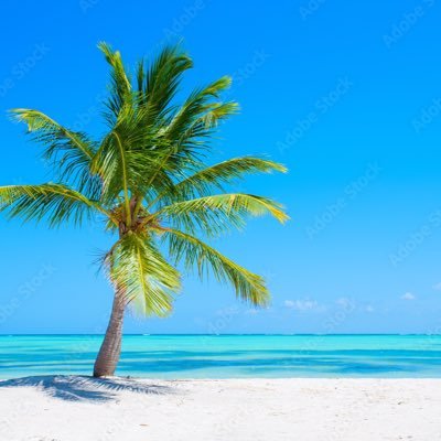 chadktmsd's profile picture. 