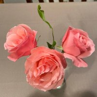 とも (@tokotokomomo08) 's Twitter Profile Photo