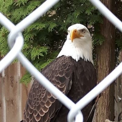 MahmudNow's profile picture. 