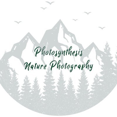 Southern Appalachian Mountains Photographer