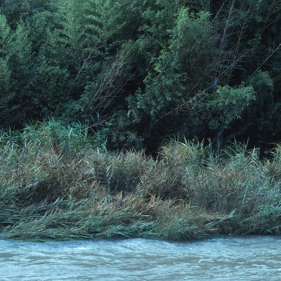 日本列島に存続し続けた藍の物語を掘り起し、阿波藍のことも長く調べていますが、日本の藍の歴史でもあります。藍染を生かした作品を1987年から制作。2018年『阿波藍のはなし』–藍を通して見る日本史– を自費出版。